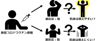 ダウンロード (14).webp