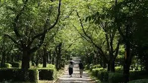 ダウンロード - 2020-09-07T105008.260.webp