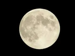 ダウンロード - 2020-11-26T152243.809.webp