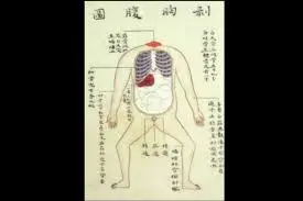 ダウンロード - 2020-12-01T081412.574.webp