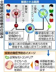 ダウンロード - 2021-01-26T142228.706.webp