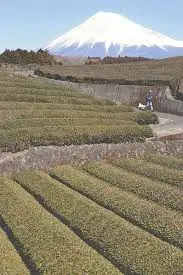 ダウンロード - 2021-02-23T163314.910.webp