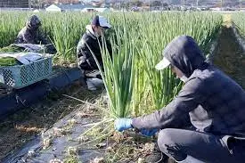 ダウンロード - 2021-12-13T095142.436.webp