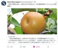 ダウンロード - 2022-08-30T153505.854.webp