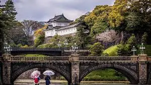ダウンロード (99).webp