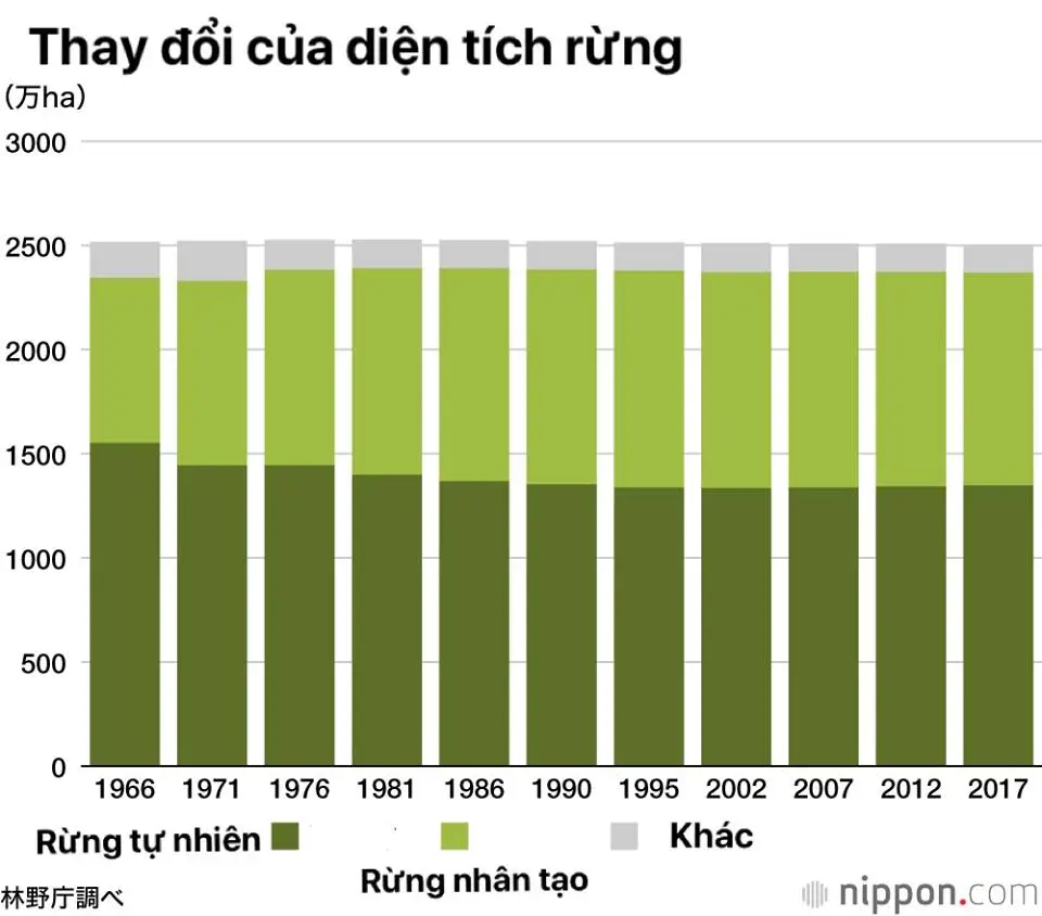 Thumbnail của bài viết: Nhật Bản: Tài nguyên rừng đã tăng gấp ba lần sau 50 năm. "Tỷ lệ rừng" cao thứ hai trong số các nước phát triển