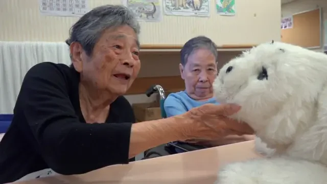 1761706927102.webp 1761706927102.webp