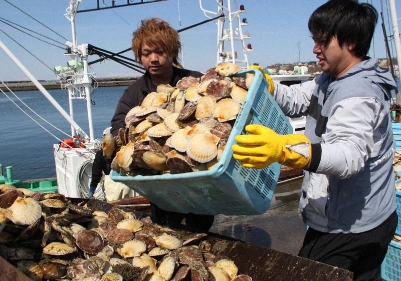 Xem chi tiết chủ đề: Hải sản Nhật Bản được vận chuyển trở lại sang Trung Quốc , 6 tấn sò điệp Hokkaido đã được vận chuyển.