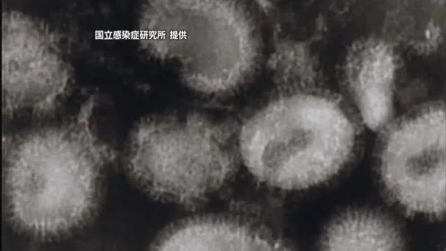 Thumbnail bài viết: Osaka : Các ca nhiễm cúm đạt "mức cảnh báo" - mức cảnh báo sớm nhất kể từ năm 2010.