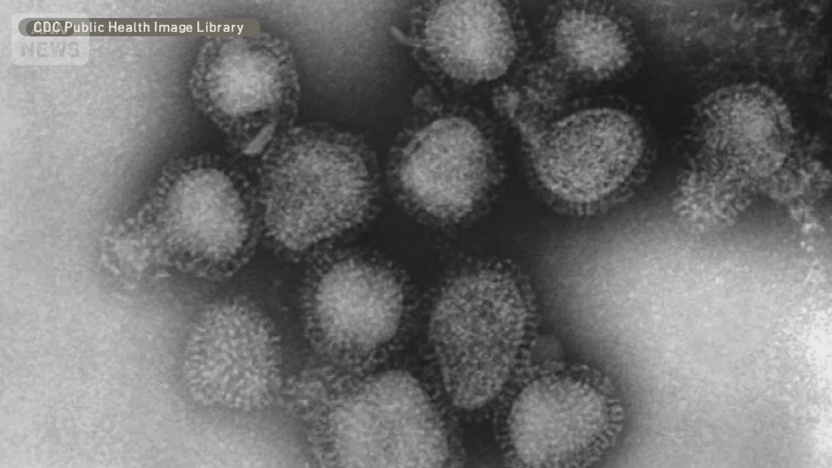 Thumbnail bài viết: Nhật Bản : Số ca cúm trên toàn quốc cao gấp 1,4 lần so với tuần trước, tuần tăng thứ 14 liên tiếp.