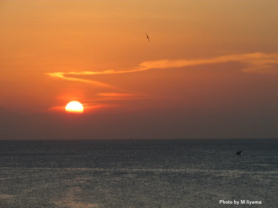 Xem chi tiết chủ đề: Năm 2025 là năm nóng thứ ba trong lịch sử, lần đầu tiên nhiệt độ tăng trên 1,5 độ C so với mức trước thời kỳ công nghiệp trong ba năm liên tiếp.