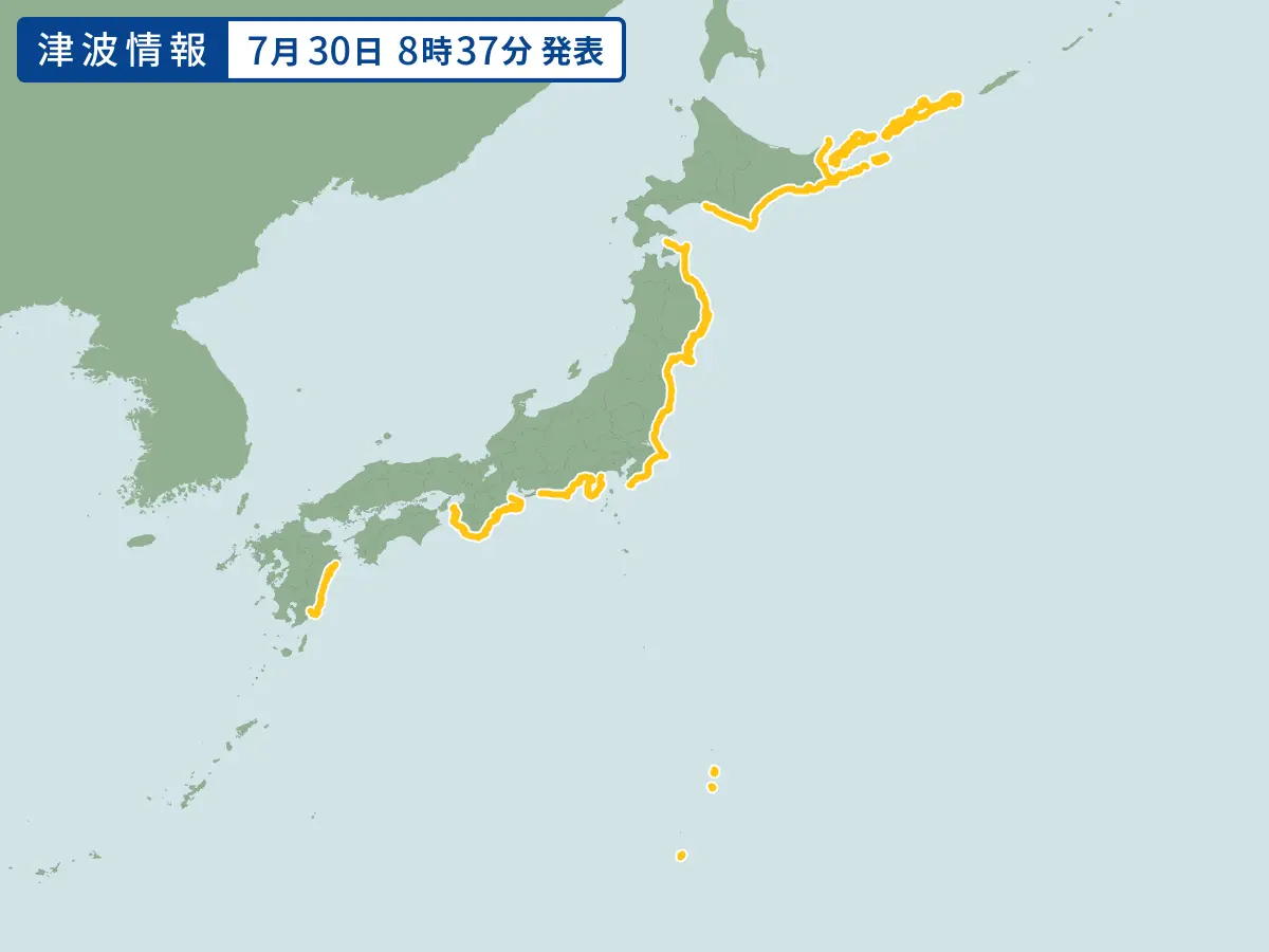 1f98edae_area.webp