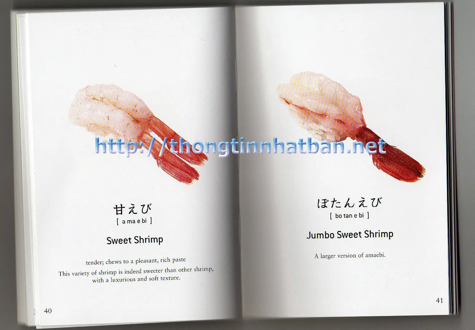 Thumbnail của bài viết: Hình ảnh vả tên của các món Sushi