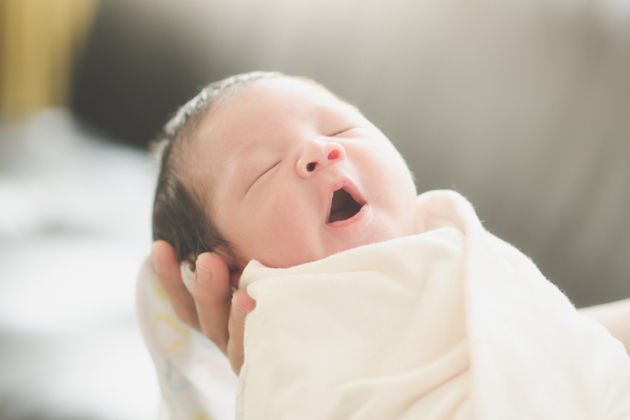 baby.webp