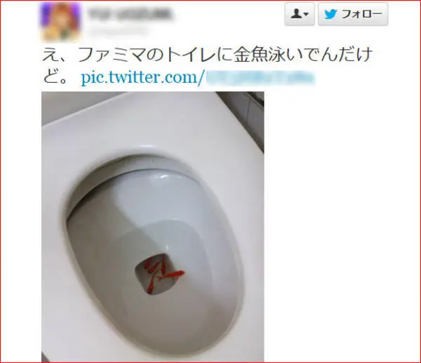 i=https%3A%2F%2Fs.eximg.jp%2Fexnews%2Ffeed%2FRocketnews24%2FRocketnews24_351422.webp