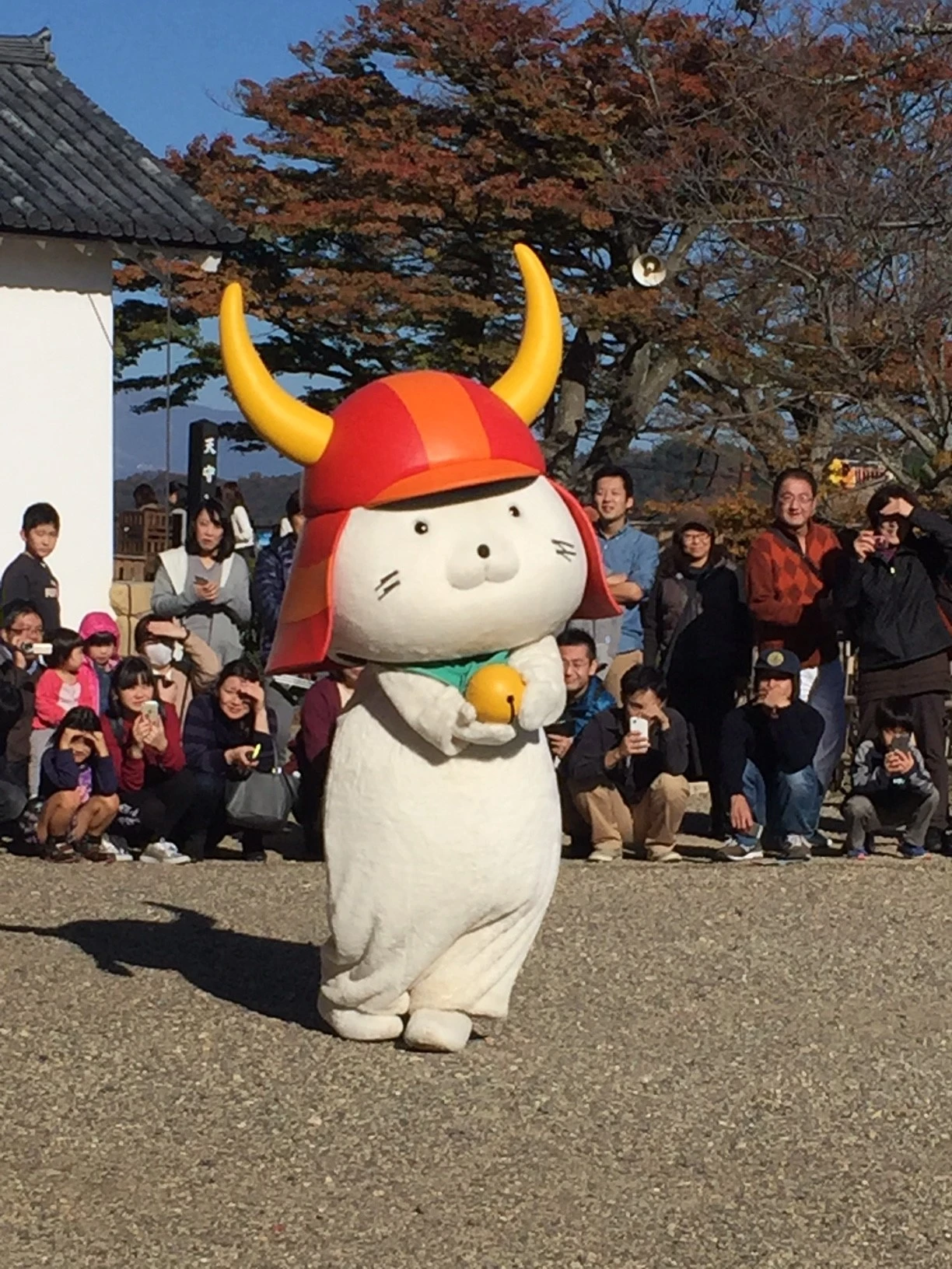 image1 (2).webp