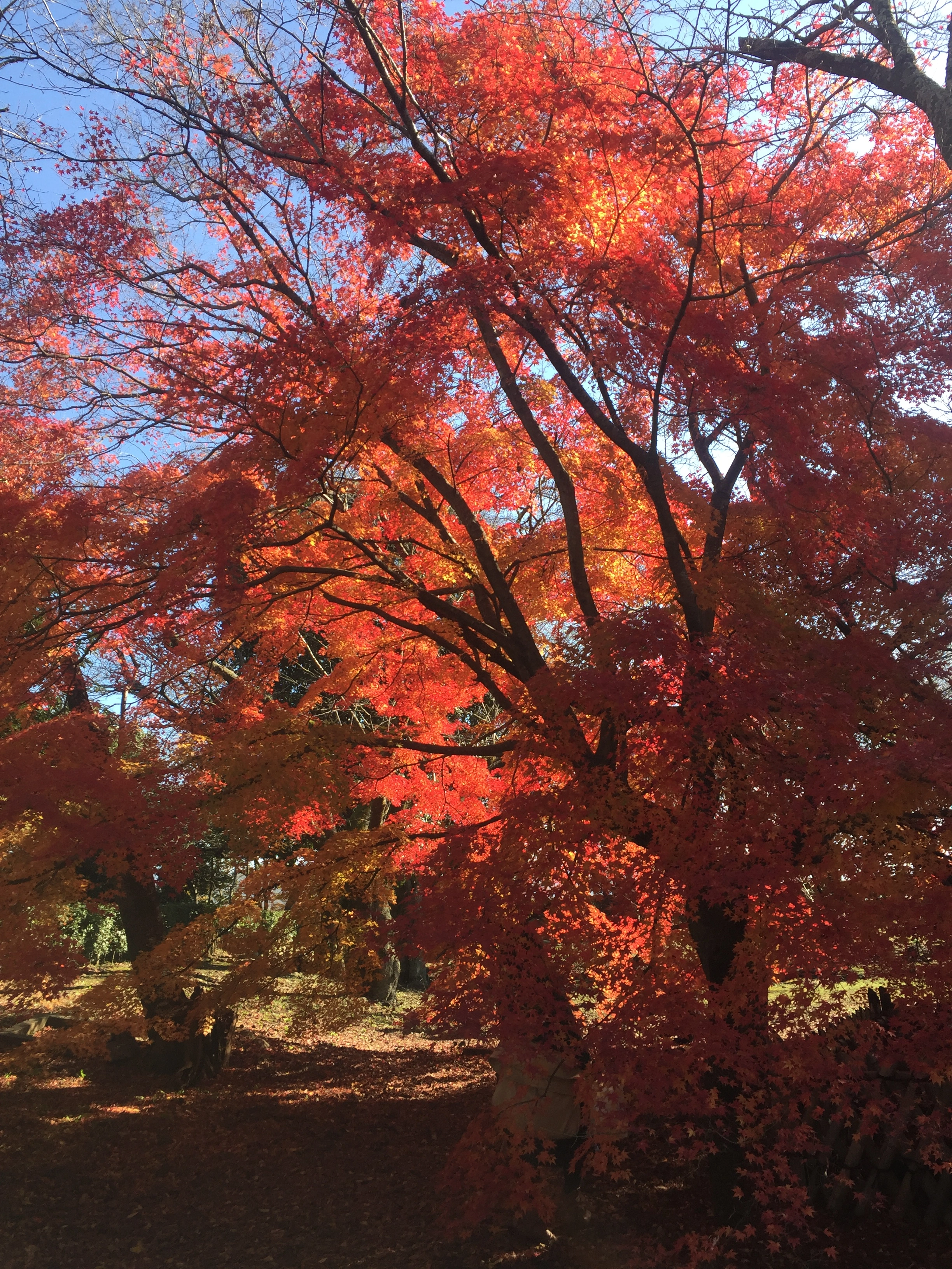 image1 (3).webp