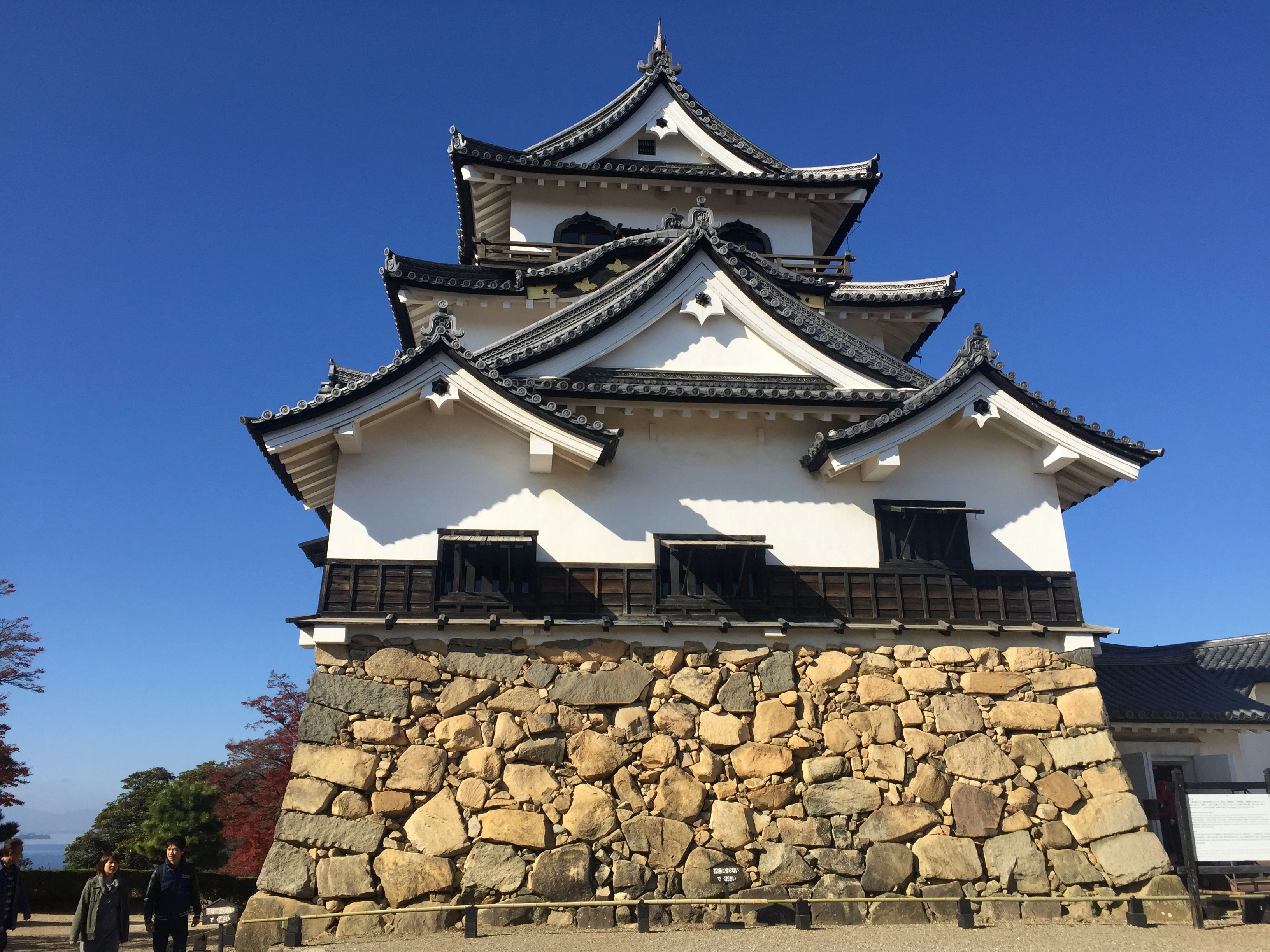 image1 (4).webp