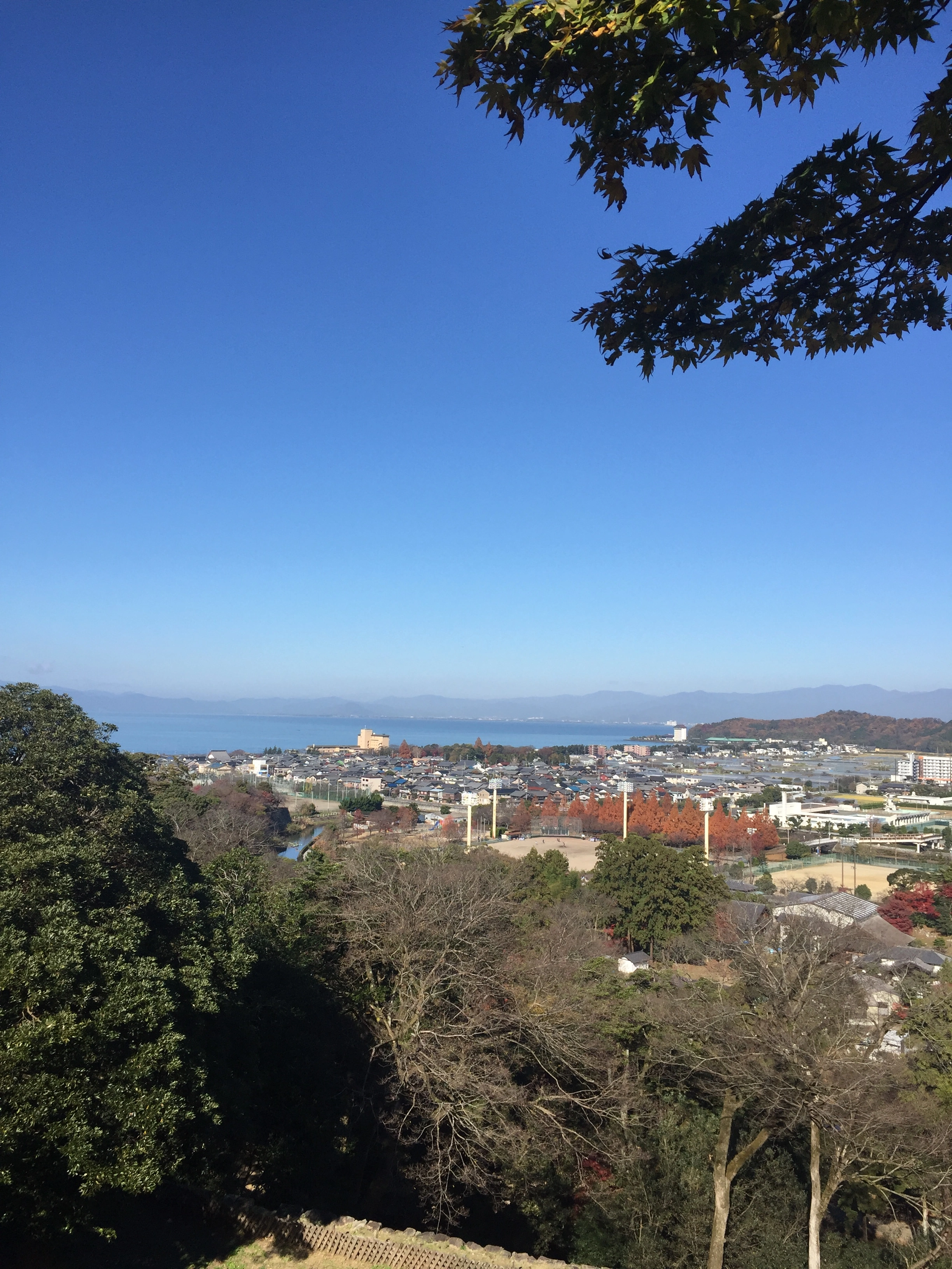 image1 (5).webp