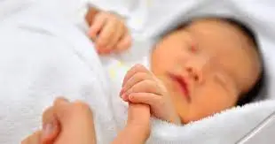 images - 2025-06-02T103858.804.webp
