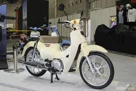 images - 2025-09-10T131212.478.webp