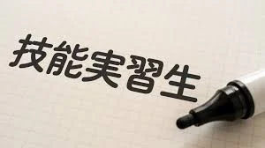 Đọc hết bài:Tại sao hệ thống lao động nước ngoài của Nhật Bản vẫn bị gọi là "nô lệ hiện đại" ?