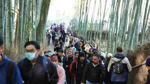 images - 2026-02-02T162207.908.webp