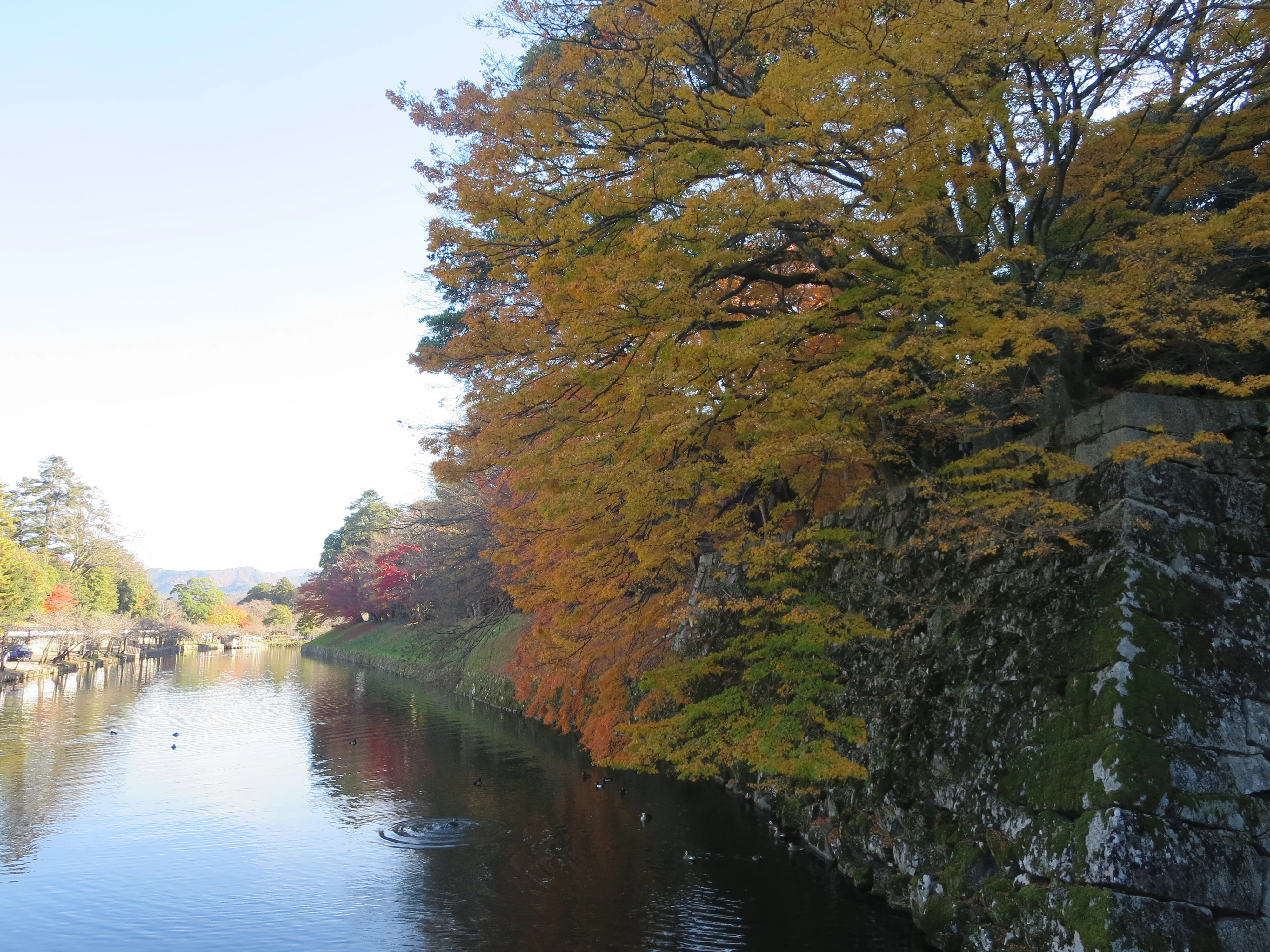 IMG_3887.webp