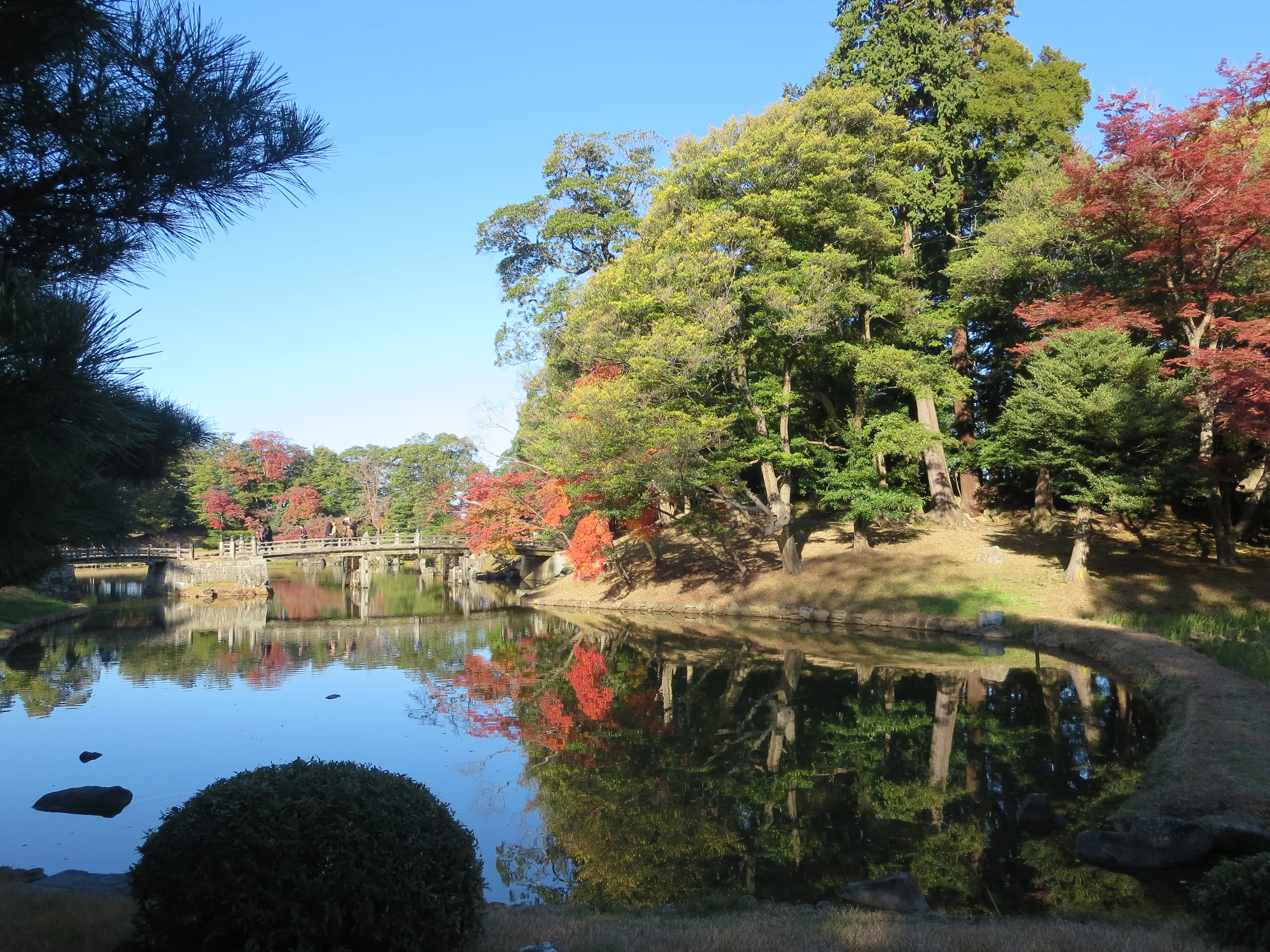 IMG_3905.webp