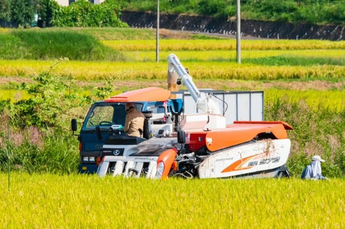 Thumbnail bài viết: Nhật Bản : Hầu hết các trang trại trồng lúa đều phá sản hoặc tạm ngừng hoạt động ? Chi phí sản xuất tăng và thiếu người kế nhiệm.