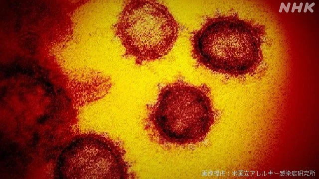 Thumbnail của bài viết: Nhật Bản: Xác nhận 36 người tử vong, 1535 người nhiễm mới virus corona trên toàn quốc (18 giờ 20 phút ngày 17 tháng 3)