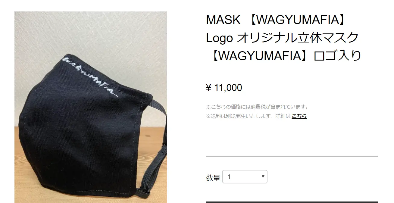 mask11000.webp