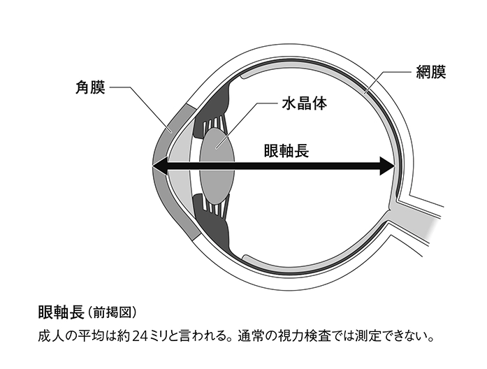 megaabu_p54.webp