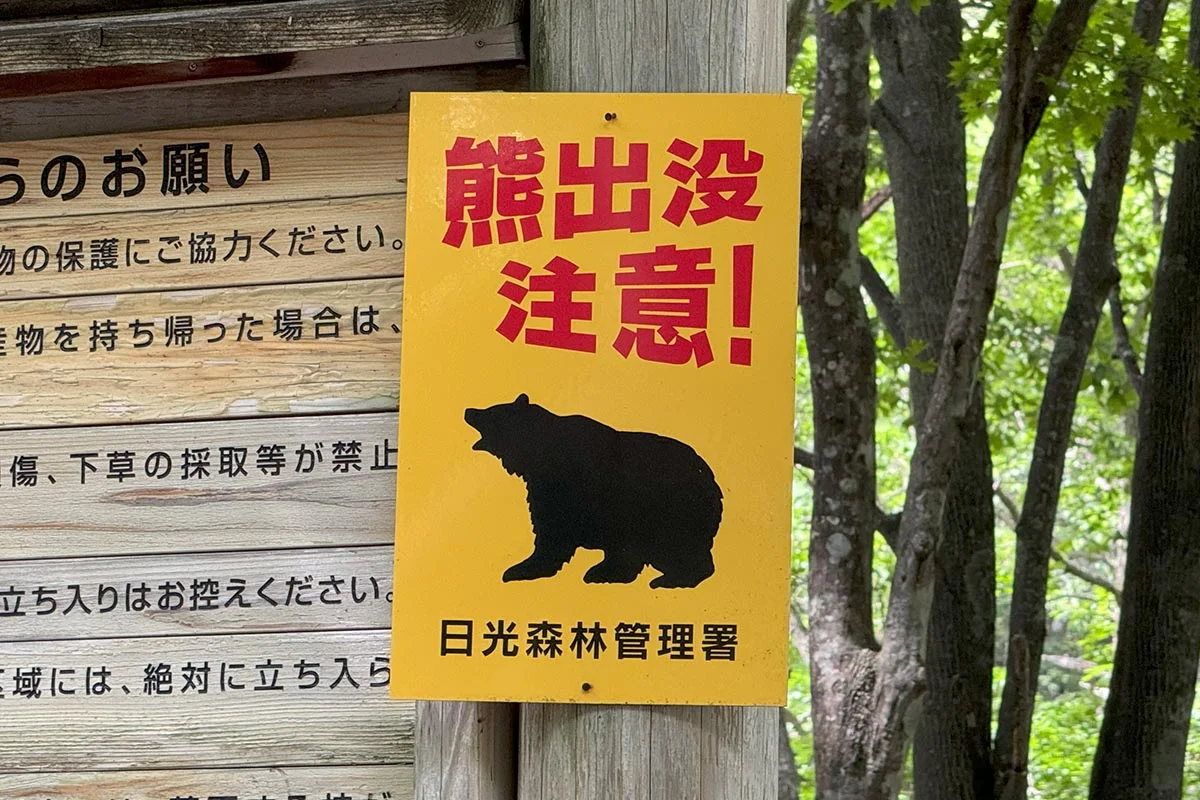 Xem chi tiết chủ đề: Nhật Bản : "Gói kiểm soát gấu" sắp được hoàn thiện , ứng phó với thiệt hại gấu gây ra.