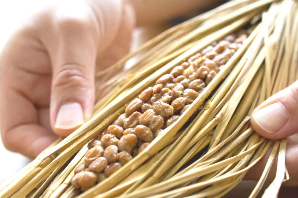 Thumbnail của bài viết: [Ngày 10 tháng 7 là Ngày Natto] Ai đã ăn nó trước ? Rikyu, Mito Komon: Lịch sử của Natto mà các vĩ nhân cũng thưởng thức