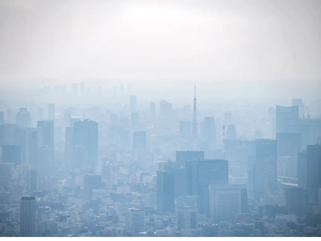 PM2.5.png