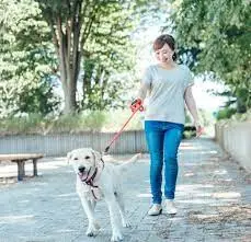 Thumbnail của bài viết: Nguồn lao động "Gig worker " đang gia tăng nhanh chóng là gì ? Liệu đó sẽ là chất xúc tác cho nền kinh tế Nhật Bản?