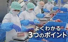 Thumbnail của bài viết: Lao động người nước ngoài, tại sao thời hạn lưu trú lại trở thành  "vô thời hạn"?