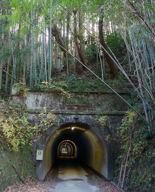 tunnel1.webp