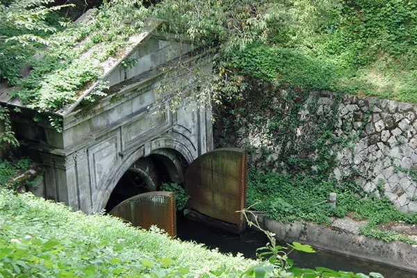 tunnel7.webp