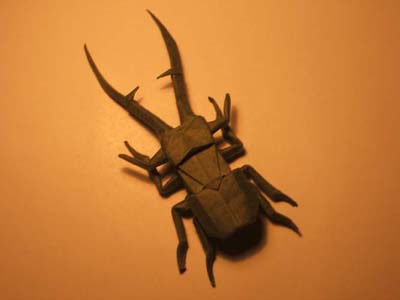 stagbeetle1moy.JPG