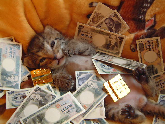 moneycat2.jpg