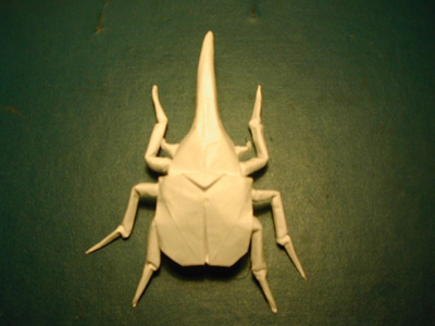 HerculesBeetle01moy.jpg