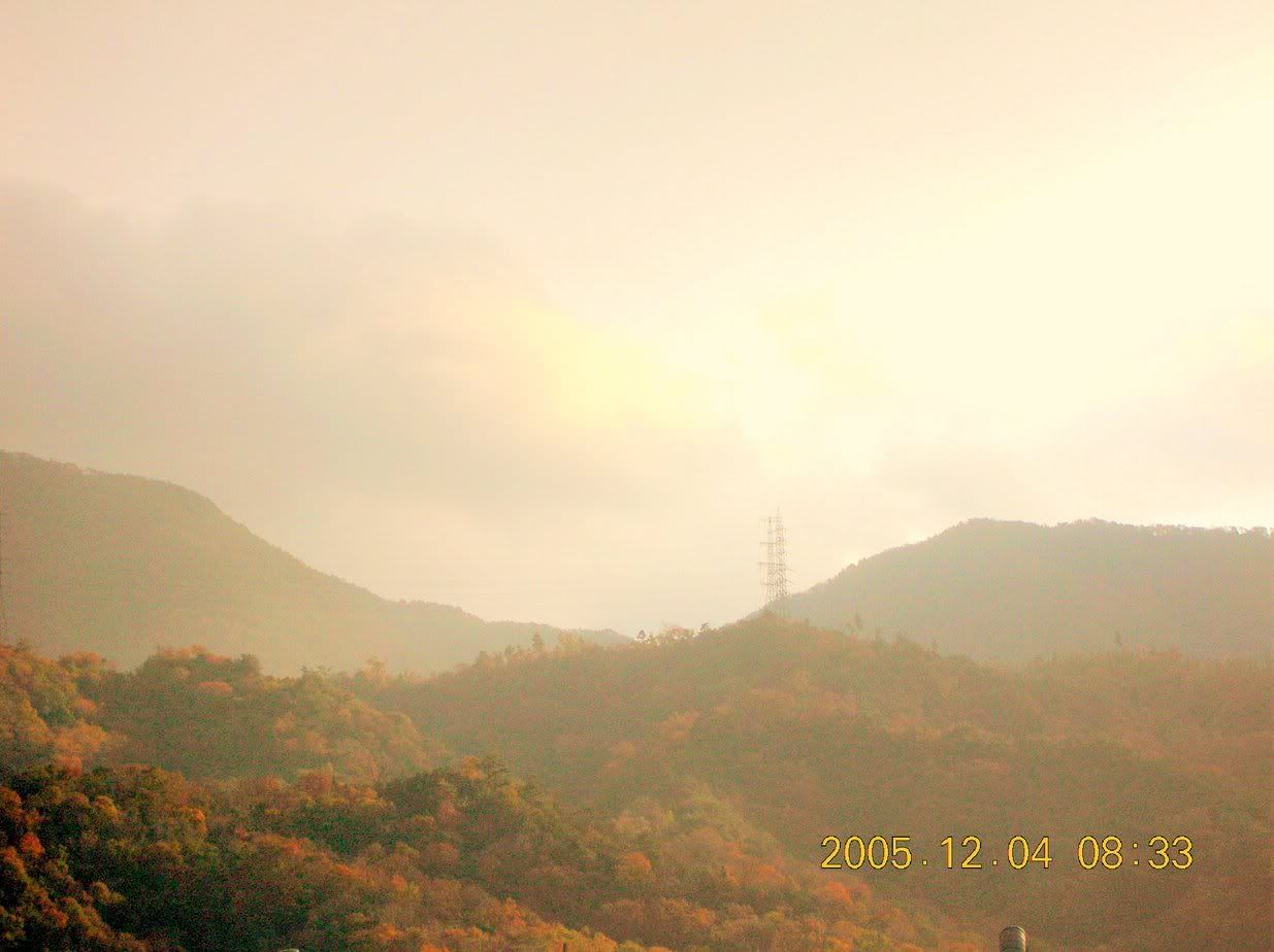DSCN09181.jpg