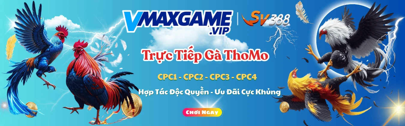 vmaxgame-banner.webp