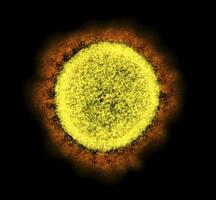 58A21498-0385-4C6F-AC1D-40638D70DF4A.jpeg