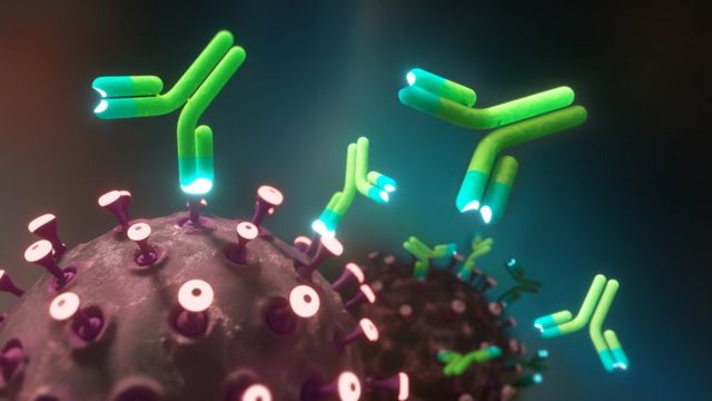 _116240310_c0505315-monoclonal_antibodies_and_coronavirus_illustration.jpg