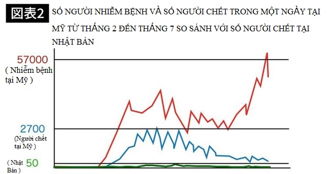 bd2.jpg