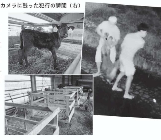 betonamujin.jpg