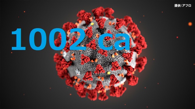 corona-1002.jpg